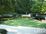 Backyard Putting Greens